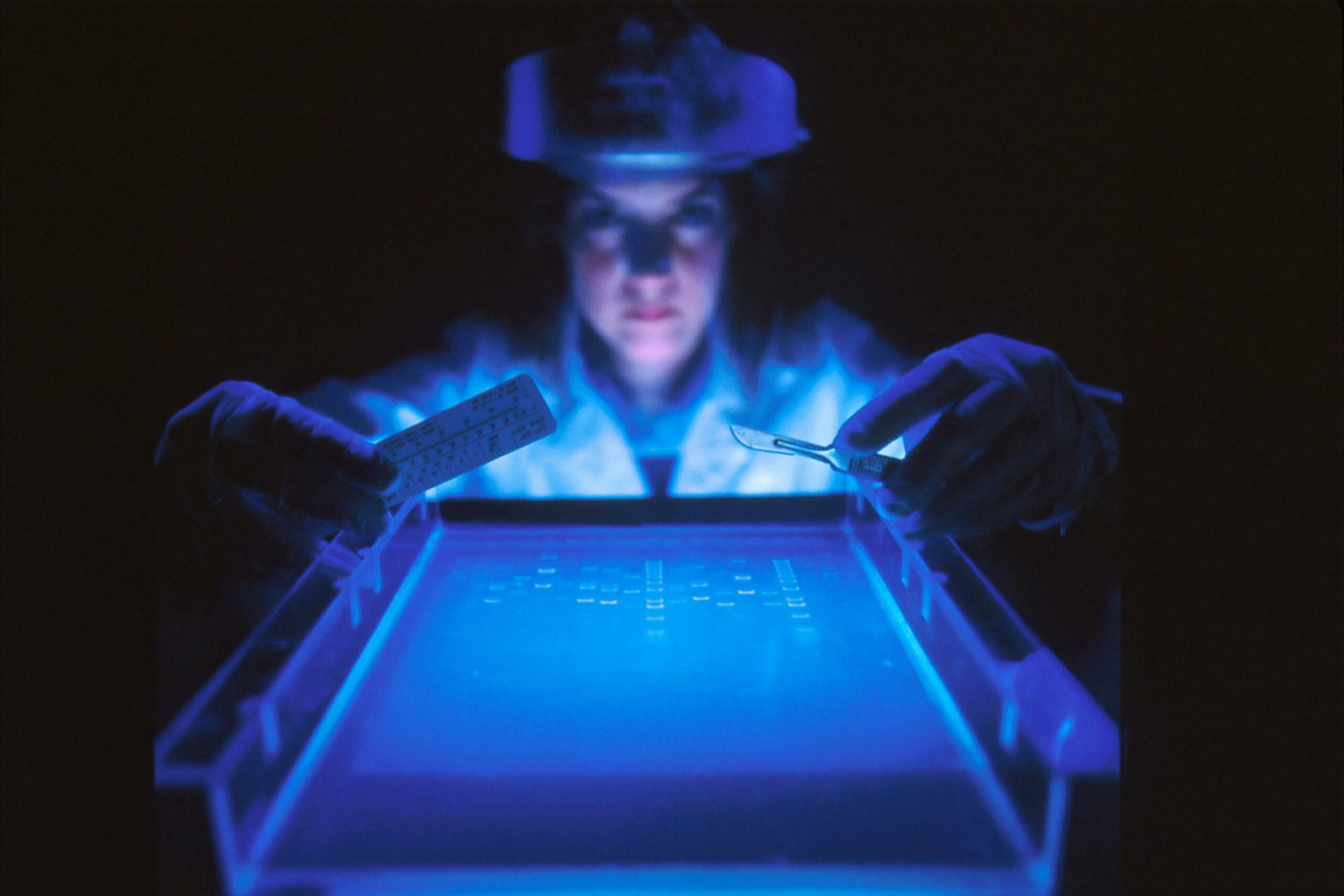 Understanding Your Family History: The Importance of Genetics in Healthcare
